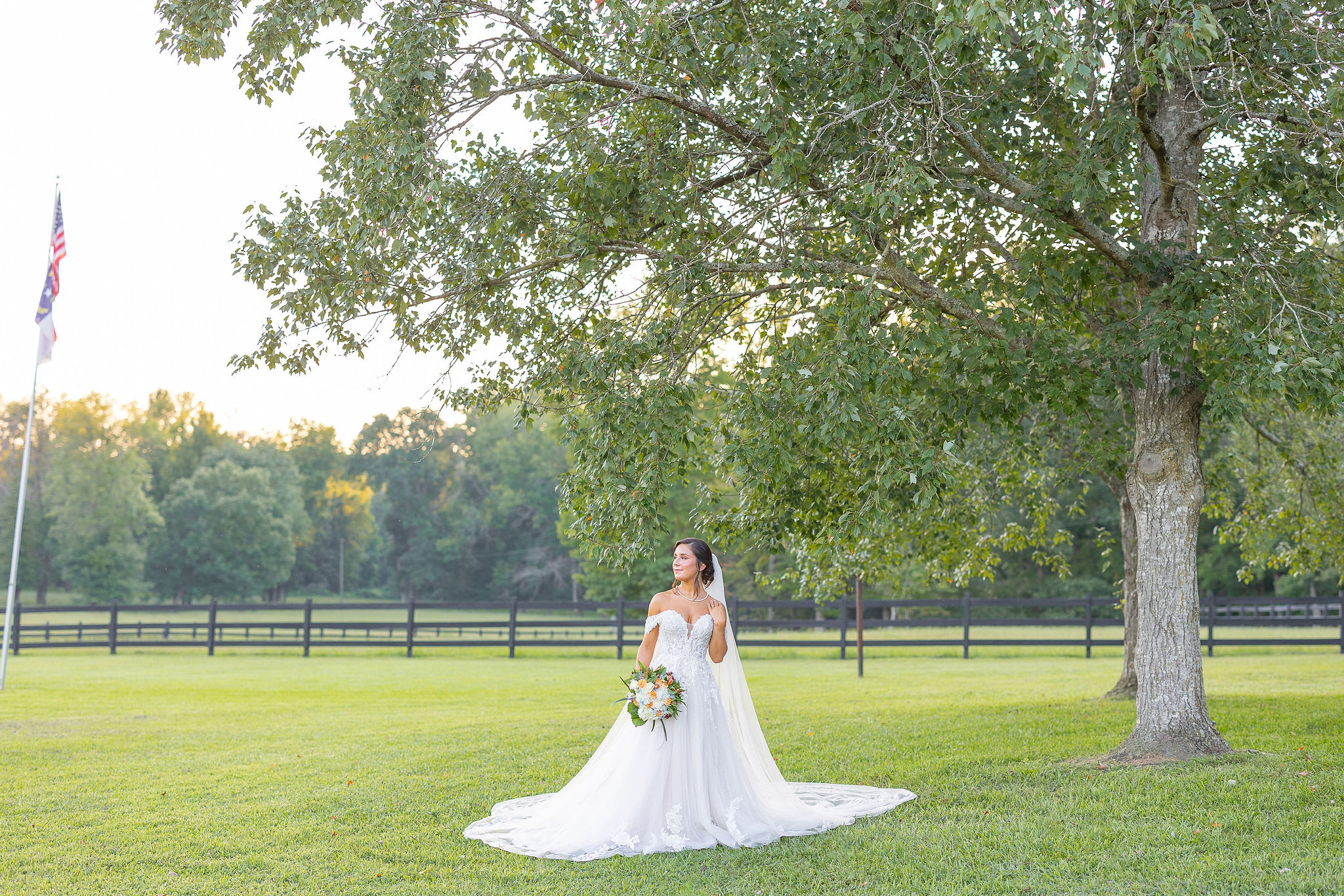 Bride in Wedding Gown and Veil standing underneath a tree