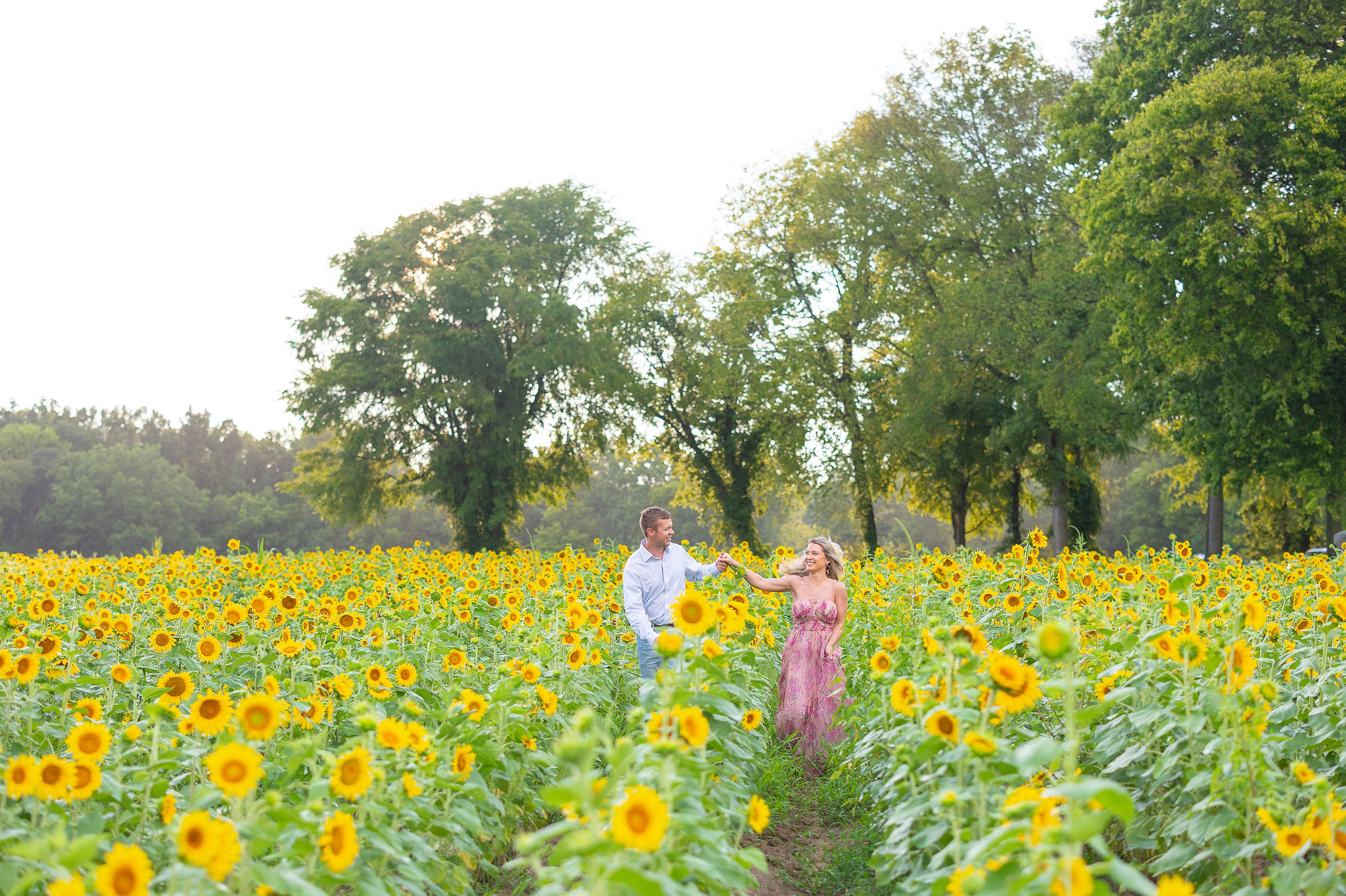 couple holding hands running through sunflower field
