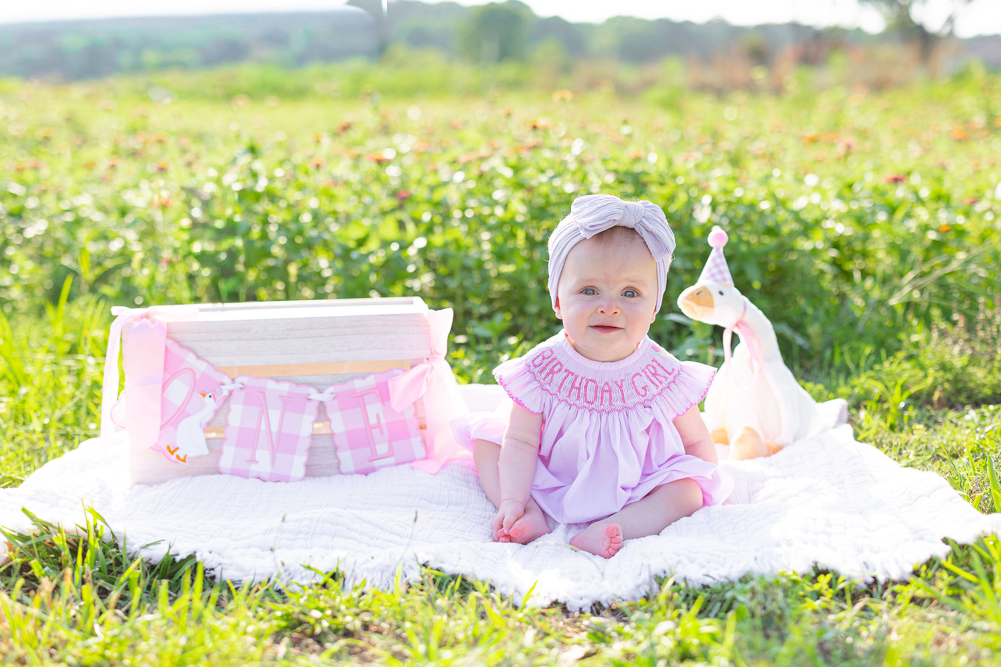 baby sitting in field with goose stuffed animal
